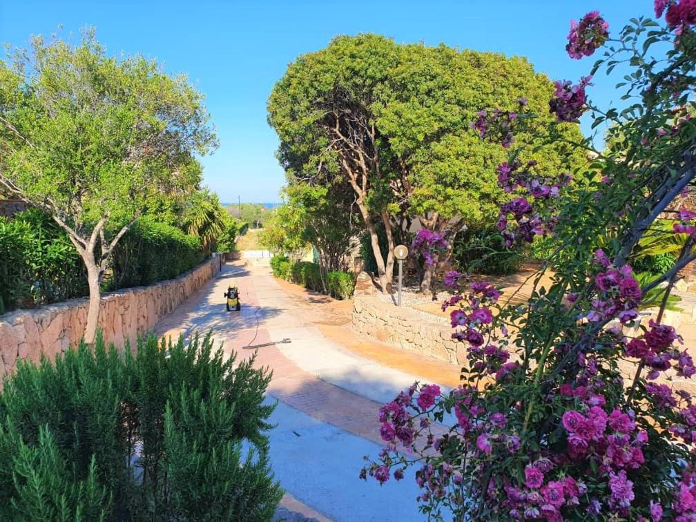 Villa Saba Olbia Eksteriør billede