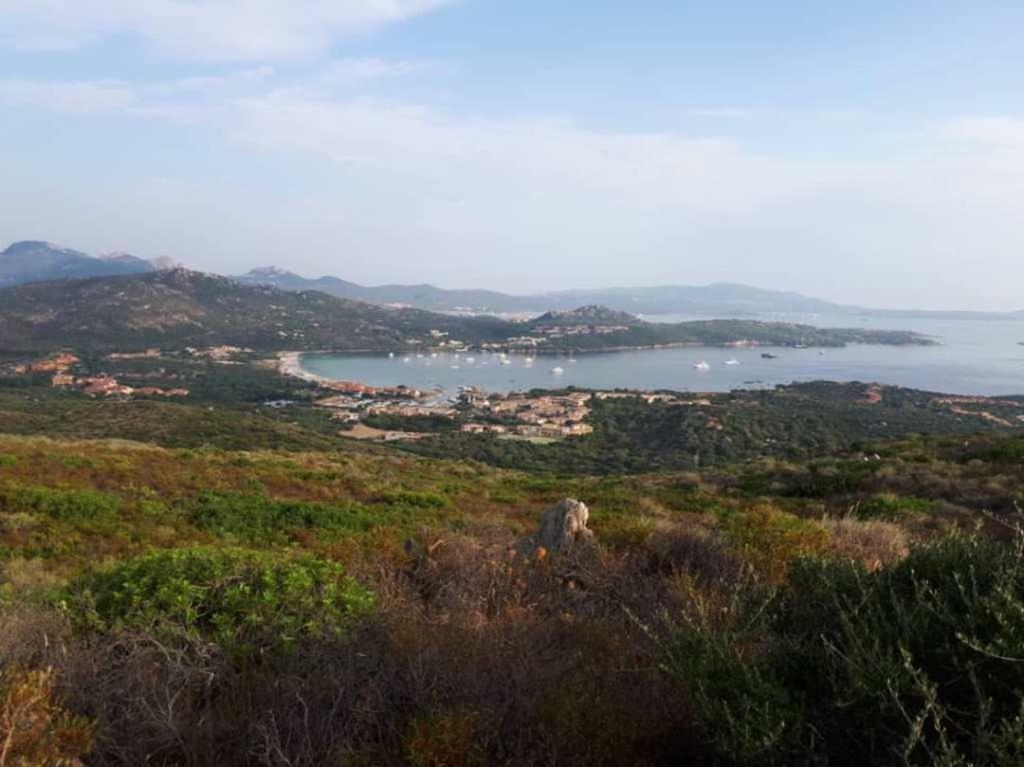 Villa Saba Olbia Eksteriør billede