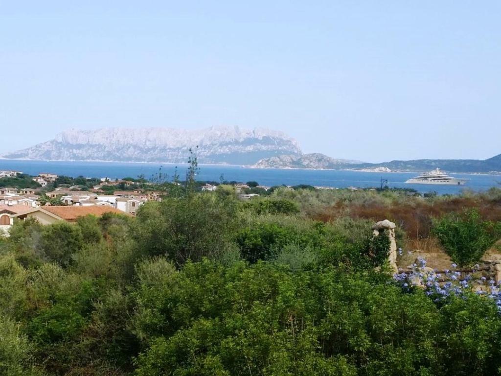 Villa Saba Olbia Eksteriør billede