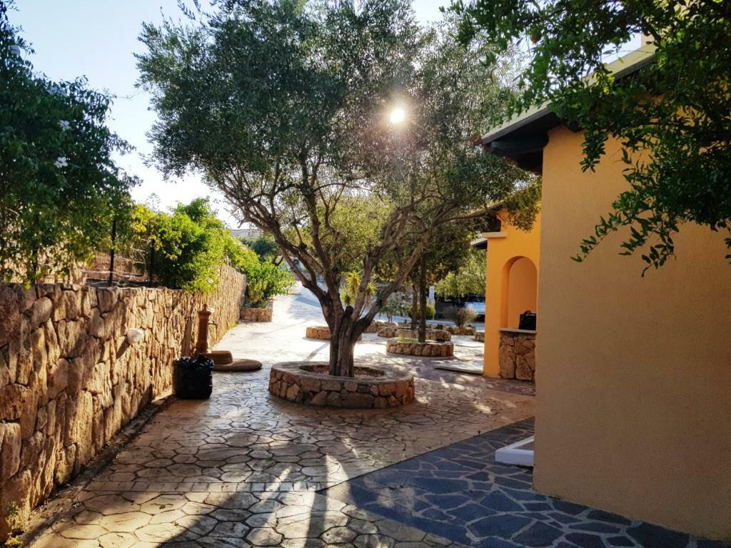 Villa Saba Olbia Eksteriør billede