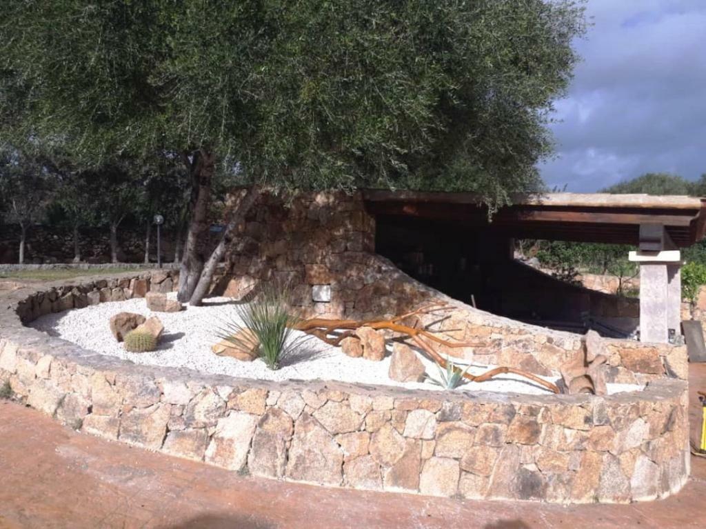 Villa Saba Olbia Eksteriør billede