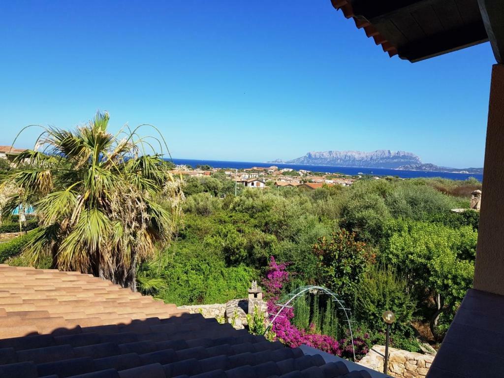 Villa Saba Olbia Eksteriør billede